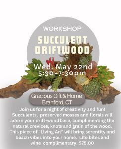 Flyer for a succulent driftwood workshop on May 22, 5:30-7:30pm at Gracious Gift & Home, Branford, CT, $75 per person.