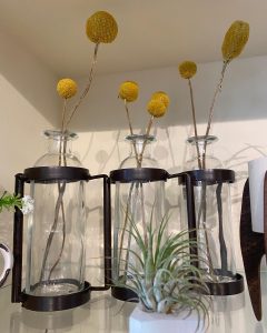 Three glass vases with yellow billy button flowers beside a small air plant on a shelf.