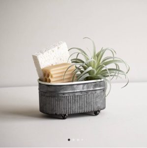 A small metal container holds an air plant, a rectangular sponge, and several pieces of uncooked rigatoni pasta.