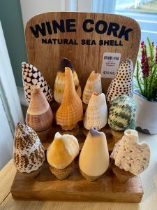 Display of natural sea shells on wine cork bases, labeled “Wine Cork Natural Sea Shell,” price tag shown as $10.95.