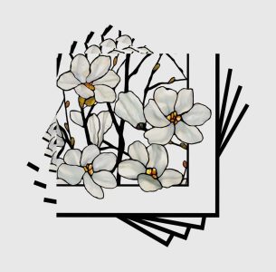 Illustration of white magnolia flowers framed by overlapping black lines on a light gray background.